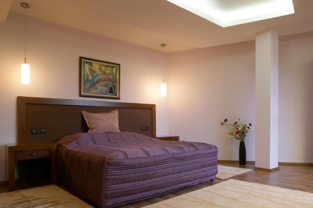 Park Hotel Green Europe ハスコヴォ 部屋 写真